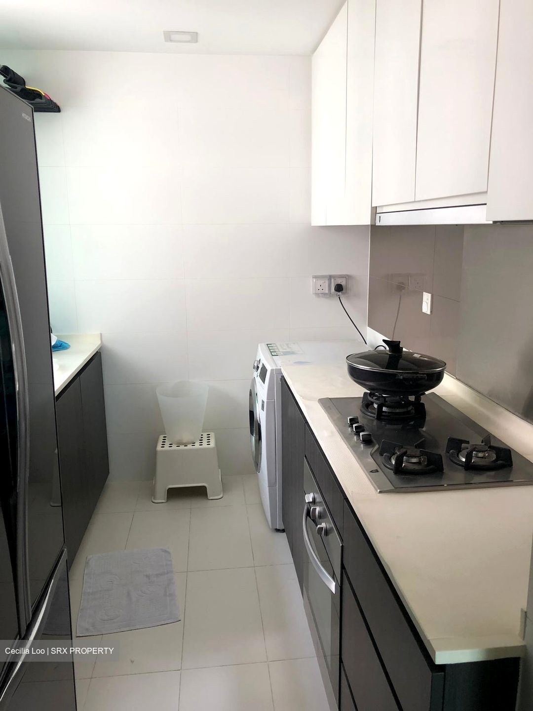 Esparina Residences (D19), Condominium #568428081